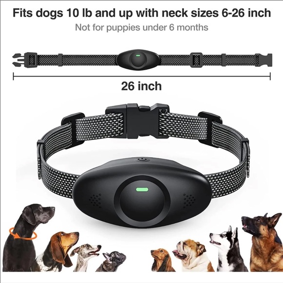 Waterproof Dog Training Collar, Rechargeable Shock Collar for Medium, Large Dogs - Picture 9 of 12